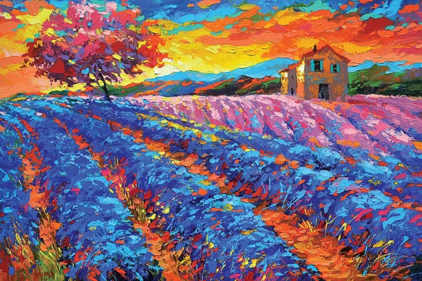 Vineyards: Evening In Provence by Dmitry Spiros