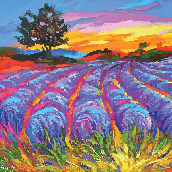 Vineyards: Evening In Tuscany by Dmitry Spiros