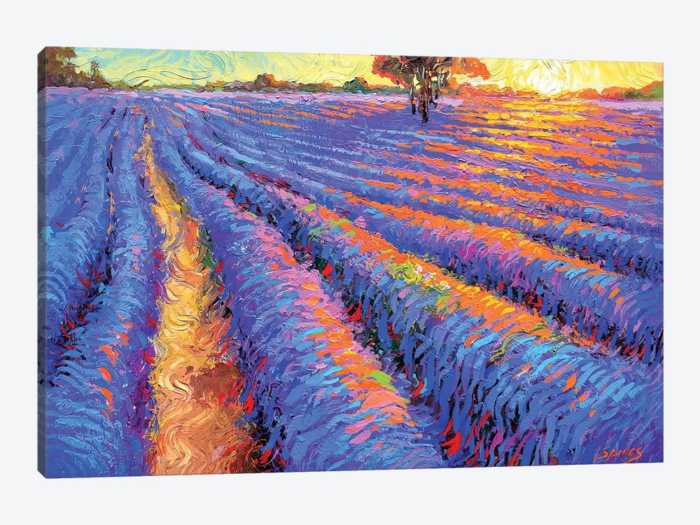 Evening Lavender Field by Dmitry Spiros 1-piece Canvas Wall Art