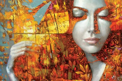 Femi by Dmitry Spiros framed canvas print