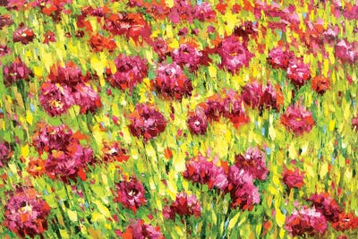 Field Of Blooms by Dmitry Spiros framed canvas print