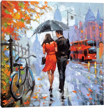 Gentle Raindrops Canvas Art Print - Dmitry Spiros
