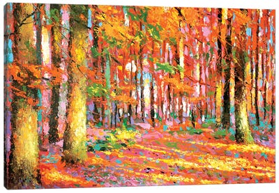 Golden Autumn II Canvas Art Print - Dmitry Spiros