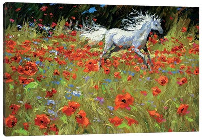 In Meadows Green Canvas Art Print - Dmitry Spiros