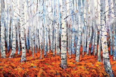 In The Birch Forest by Dmitry Spiros framed canvas print