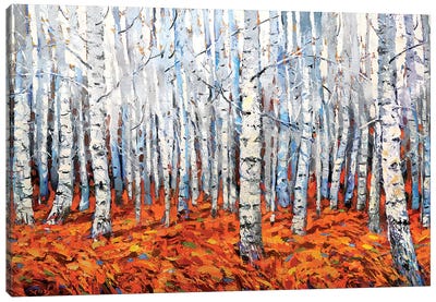 In The Birch Forest Canvas Art Print - Dmitry Spiros
