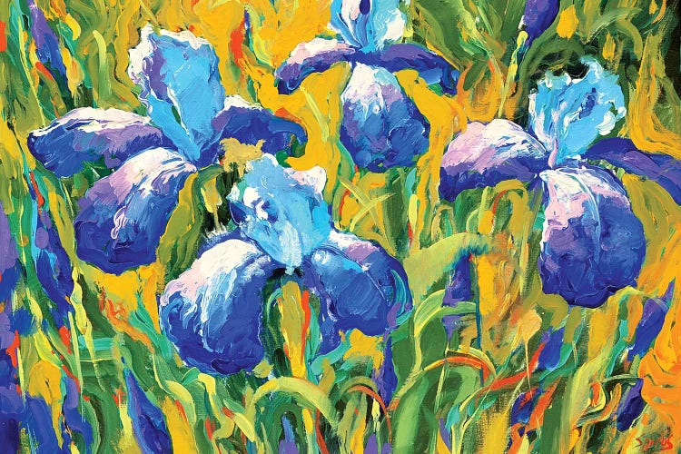 Iris by Dmitry Spiros wall art