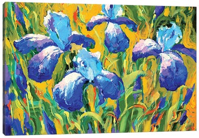 Iris Canvas Art Print - Dmitry Spiros