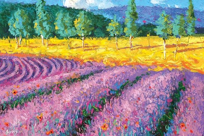 Lavender Flield Noon by Dmitry Spiros framed canvas print