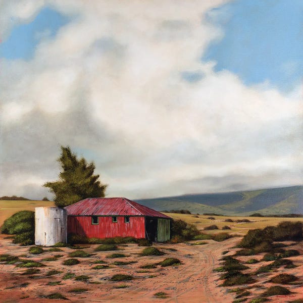 Donna McKellar: The Red Barn by Donna McKellar