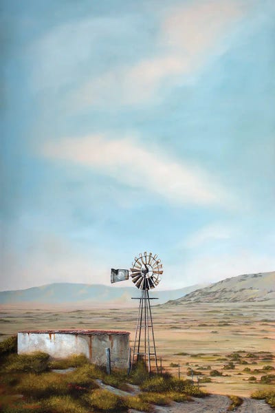 West Coast Windmill by Donna McKellar canvas print