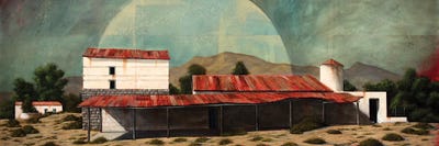 Lady Grey by Donna McKellar canvas print