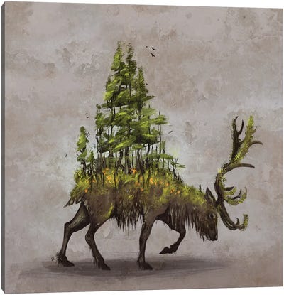Forest Deer Canvas Art Print