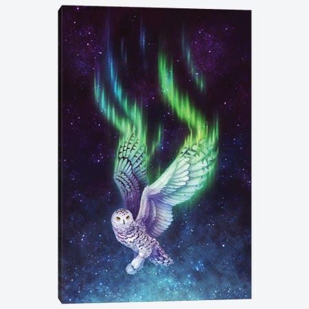 Aurora Flight Canvas Print #DNE1} by Danielle English Art Print