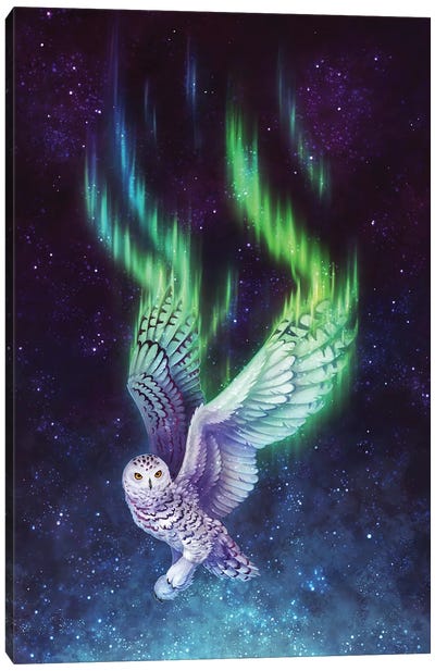 Aurora Flight Canvas Art Print - Danielle English