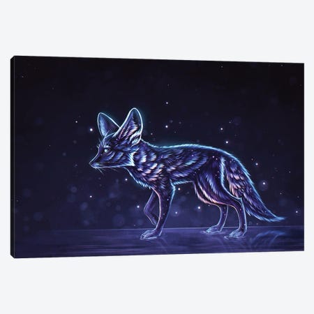 Stardust Fennec Fox Canvas Print #DNE27} by Danielle English Canvas Art