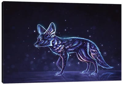 Stardust Fennec Fox Canvas Art Print