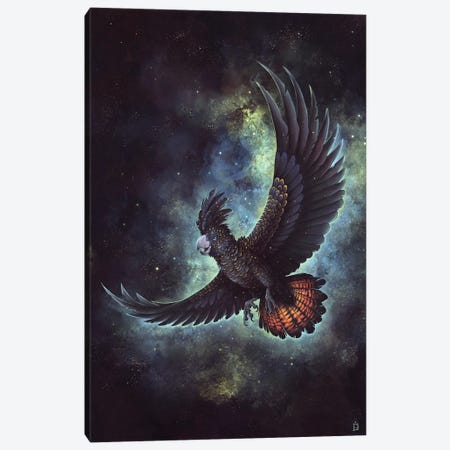 Starry Flight Canvas Print #DNE29} by Danielle English Canvas Print