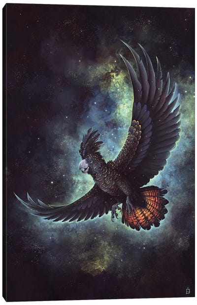 Starry Flight Canvas Art Print