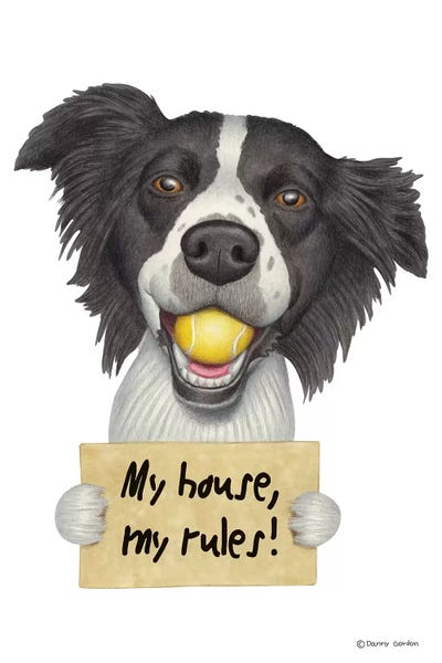 Border Collie by Danny Gordon framed wall art