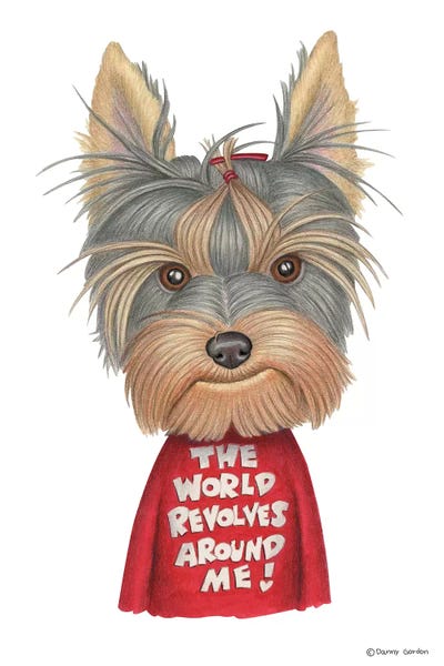 Yorkshire Terrier Revolves Around Me by Danny Gordon canvas print
