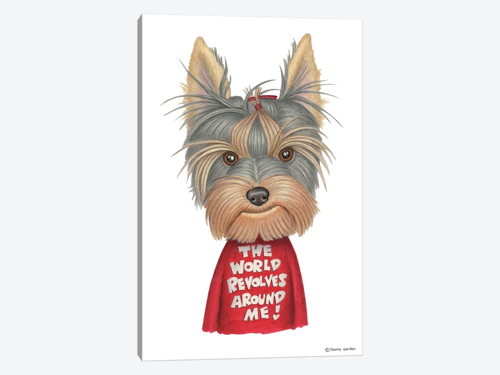 Yorkshire Terrier Revolves Around Me by Danny Gordon 1-piece Canvas Art Print