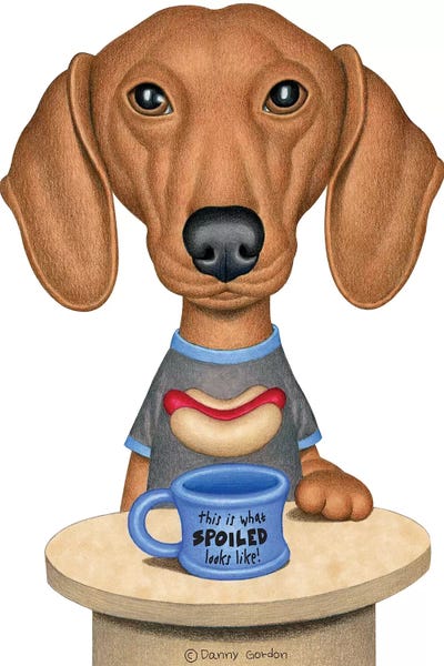 Brown Dachshund With Coffee by Danny Gordon framed canvas print