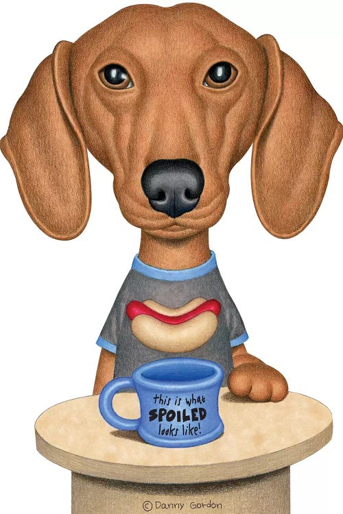 Brown Dachshund With Coffee