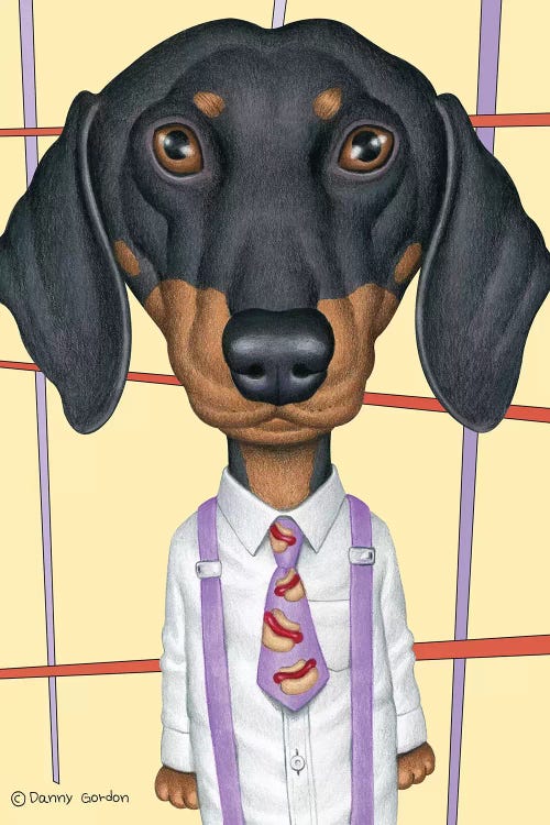 Dachshund Wearing Tie With Lines