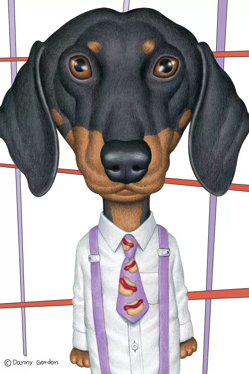 Dachshund Wearing Tie With Lines On White