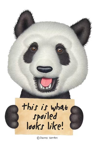 Panda by Danny Gordon framed canvas print