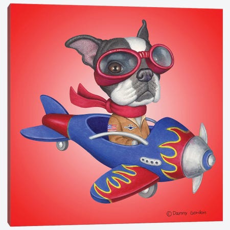 Boston Terrier Plane Canvas Print #DNG124} by Danny Gordon Canvas Art Print