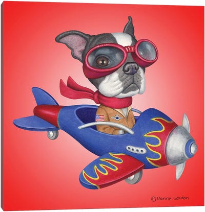 Boston Terrier Plane Canvas Art Print - Danny Gordon