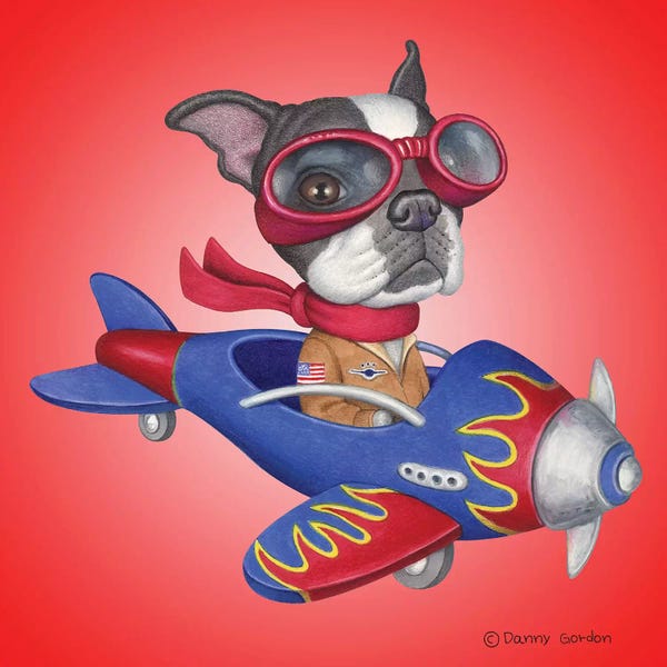 Terriers: Boston Terrier Plane by Danny Gordon