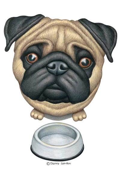 Pug Near Dog Bowl by Danny Gordon framed wall art