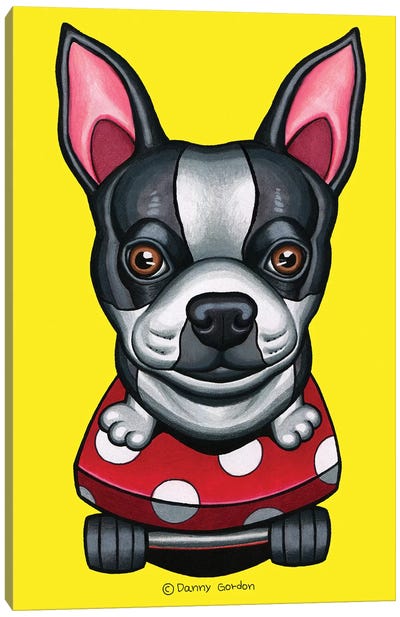 Boston Terrier Skateboard Canvas Art Print - Danny Gordon