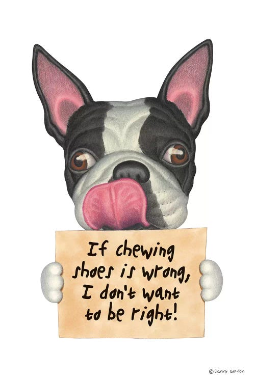 Boston Terrier I Don't Want To Be Right by Danny Gordon wall art