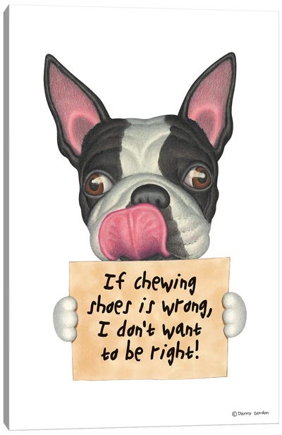 Boston Terrier I Don't Want To Be Right Canvas Art Print - Boston Terrier Art