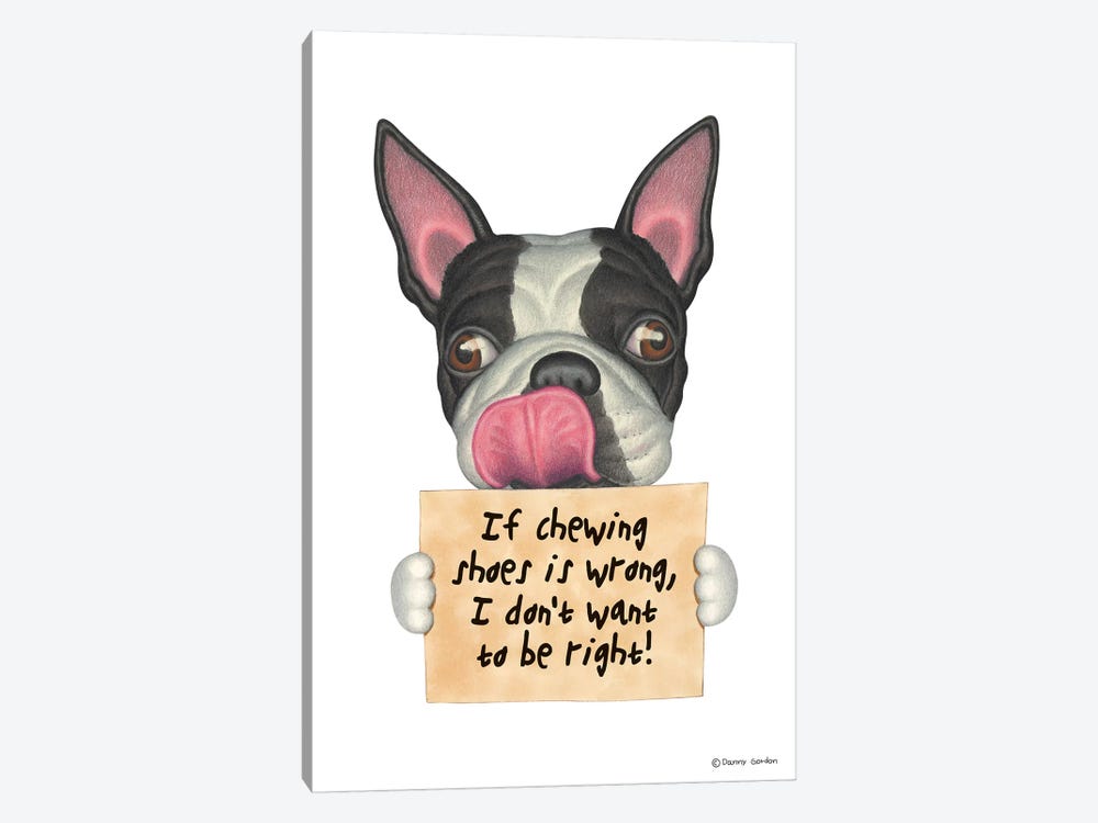 Boston Terrier I Don't Want To Be Right by Danny Gordon 1-piece Canvas Wall Art