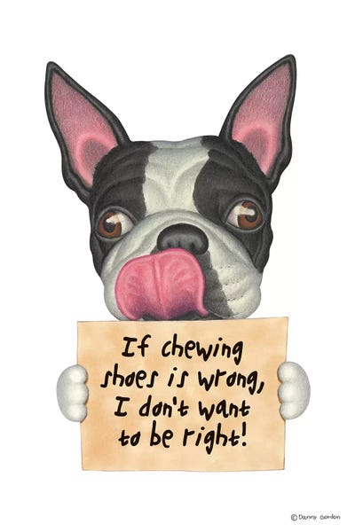 Boston Terriers: Boston Terrier I Don't Want To Be Right by Danny Gordon