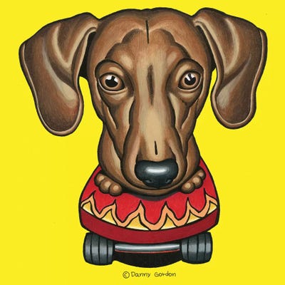 Dachshund Red Fire Skateboard by Danny Gordon framed canvas print