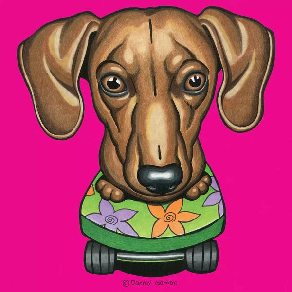 Dachshunds: Dachshund Flower Skateboard by Danny Gordon