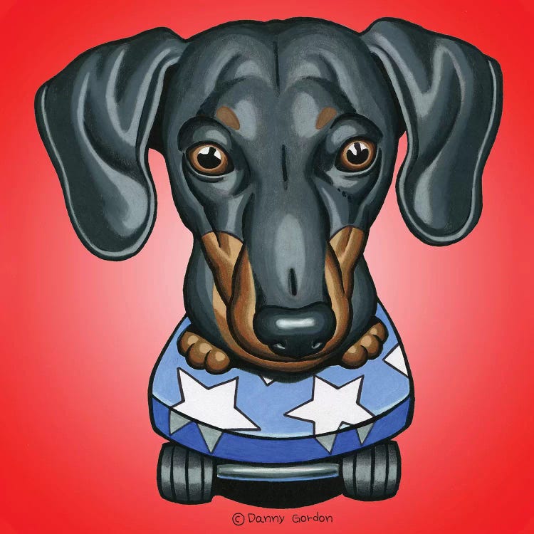 Dachshund Skateboard Stars Radial Red