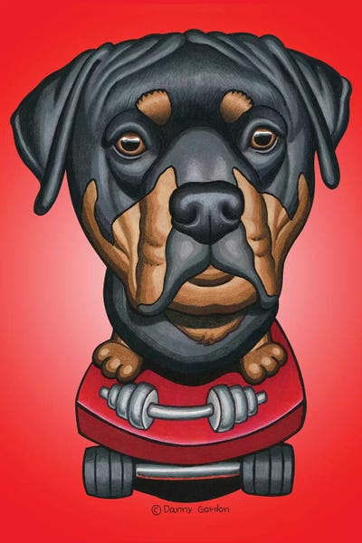Rottweiler Skateboard Dumbell Radial Red by Danny Gordon framed wall art
