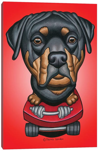 Rottweiler Skateboard Dumbell Radial Red Canvas Art Print - Danny Gordon