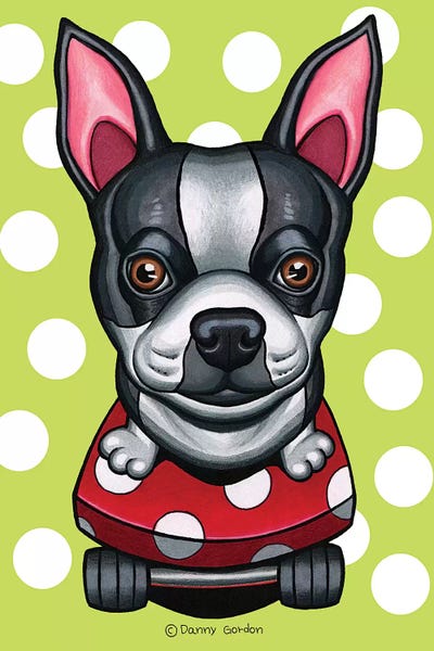 Polka Dot: Boston Terrier Skateboard White Circles by Danny Gordon