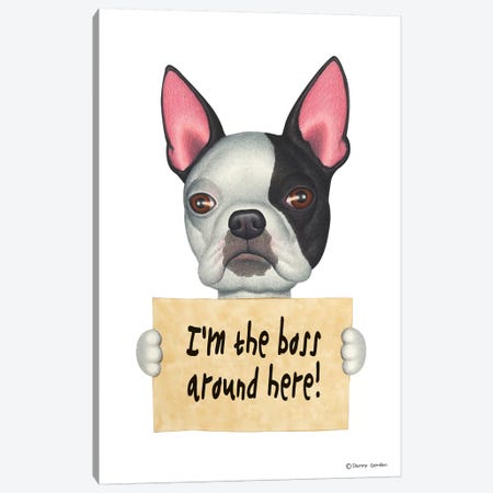 Boston Terrier I'm The Boss Canvas Print #DNG14} by Danny Gordon Canvas Art Print