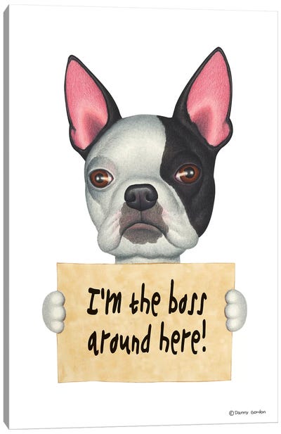Boston Terrier I'm The Boss Canvas Art Print - Danny Gordon