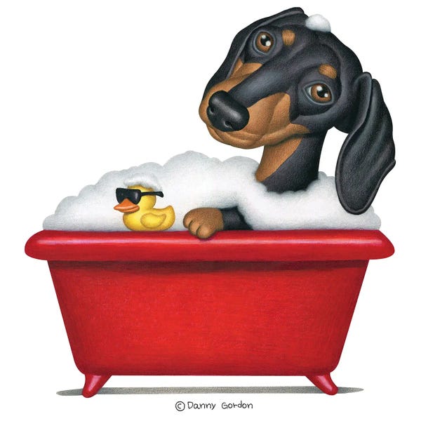 Bathroom Humor: Black Dachshund In Red Tub by Danny Gordon