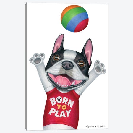 Boston Terrier With Ball Canvas Print #DNG156} by Danny Gordon Canvas Art